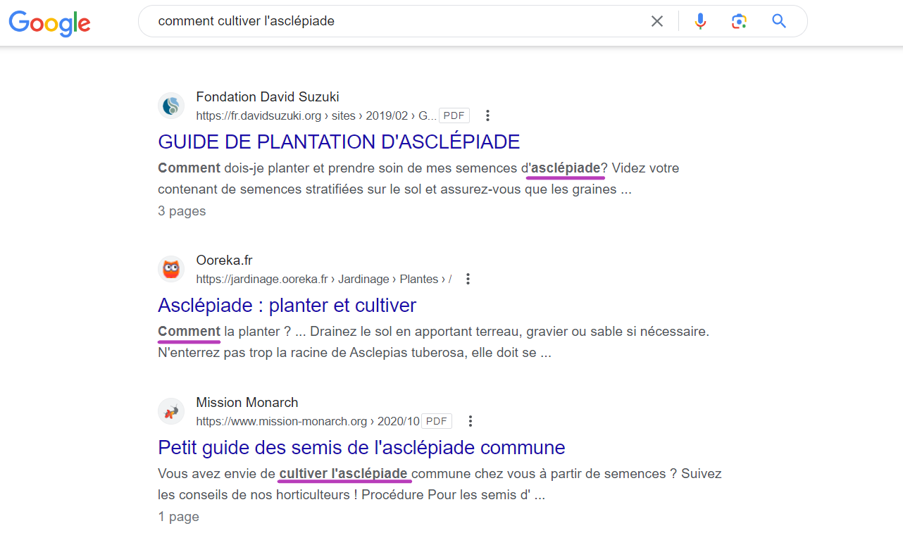 Mots clés en gras dans la meta description