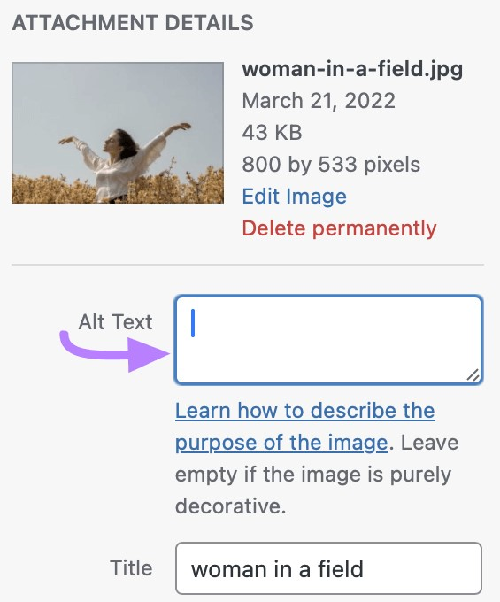 The Alt Text input box for an image on WordPress appearing between the image and the image title.