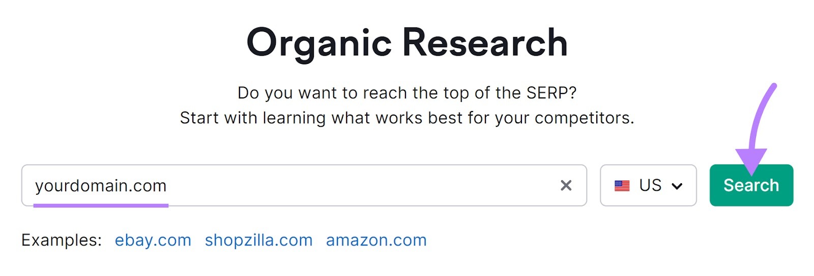 Organic Rankings tool search bar